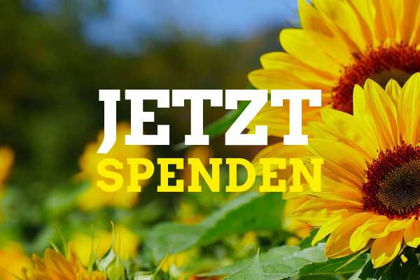 Jetzt spenden