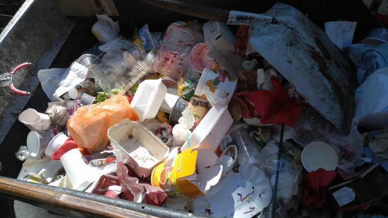 „Bamberg plastikfrei“: Darum sind die Plastik-Vorstöße der SPD- und CSU-Kandidaten keine guten Ideen