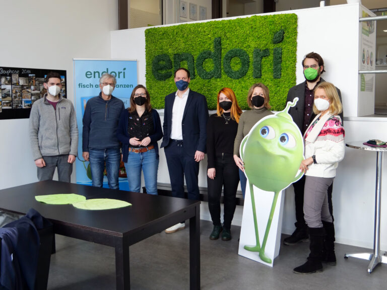 Grüne auf den Spuren der Erbse