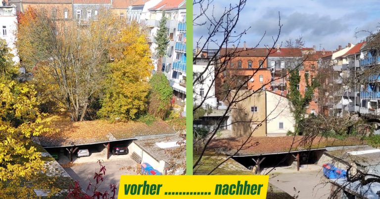 Baumbestand in Innenhöfen erhalten