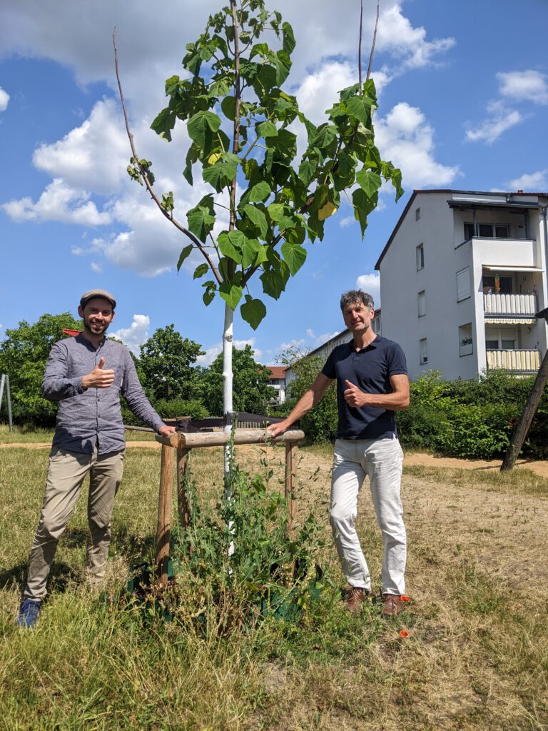 Grün bringt Schatten