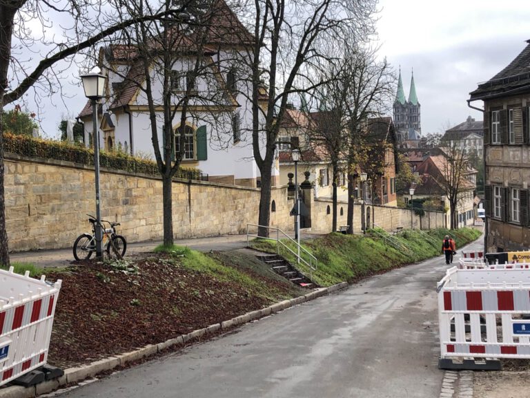 Grüne wollen Bäume und Grün am Michelsberg erhalten