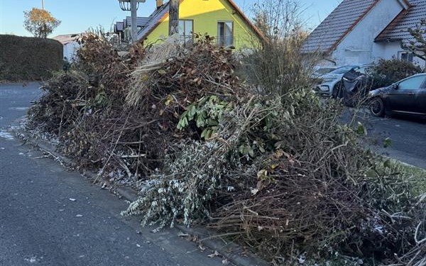 Was passiert mit Grüngut-Haufen am Straßenrand?