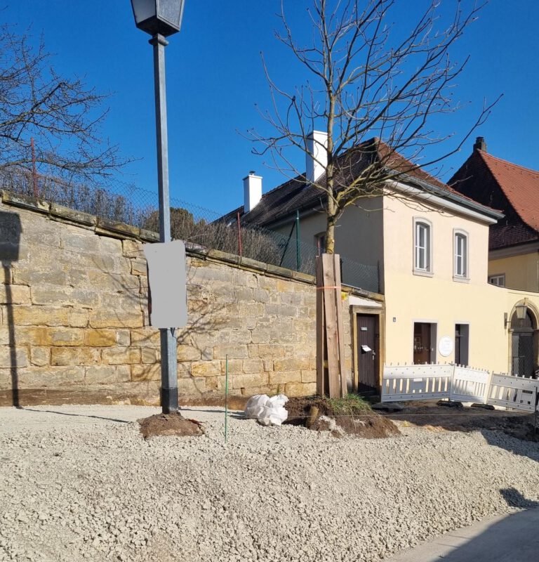 Klärung zum Schutz der Bäume am Michelsberg